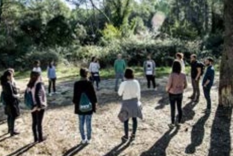Bain de forêt et yoga face à la mer lors d’un séminaire et team building à Ibiza, activité bien-être et fédératrice organisée par JuliEvents