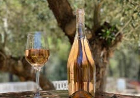 Dégustation de vin lors d’un séminaire et team building à Ibiza, activité œnologique et fédératrice organisée par JuliEvents
