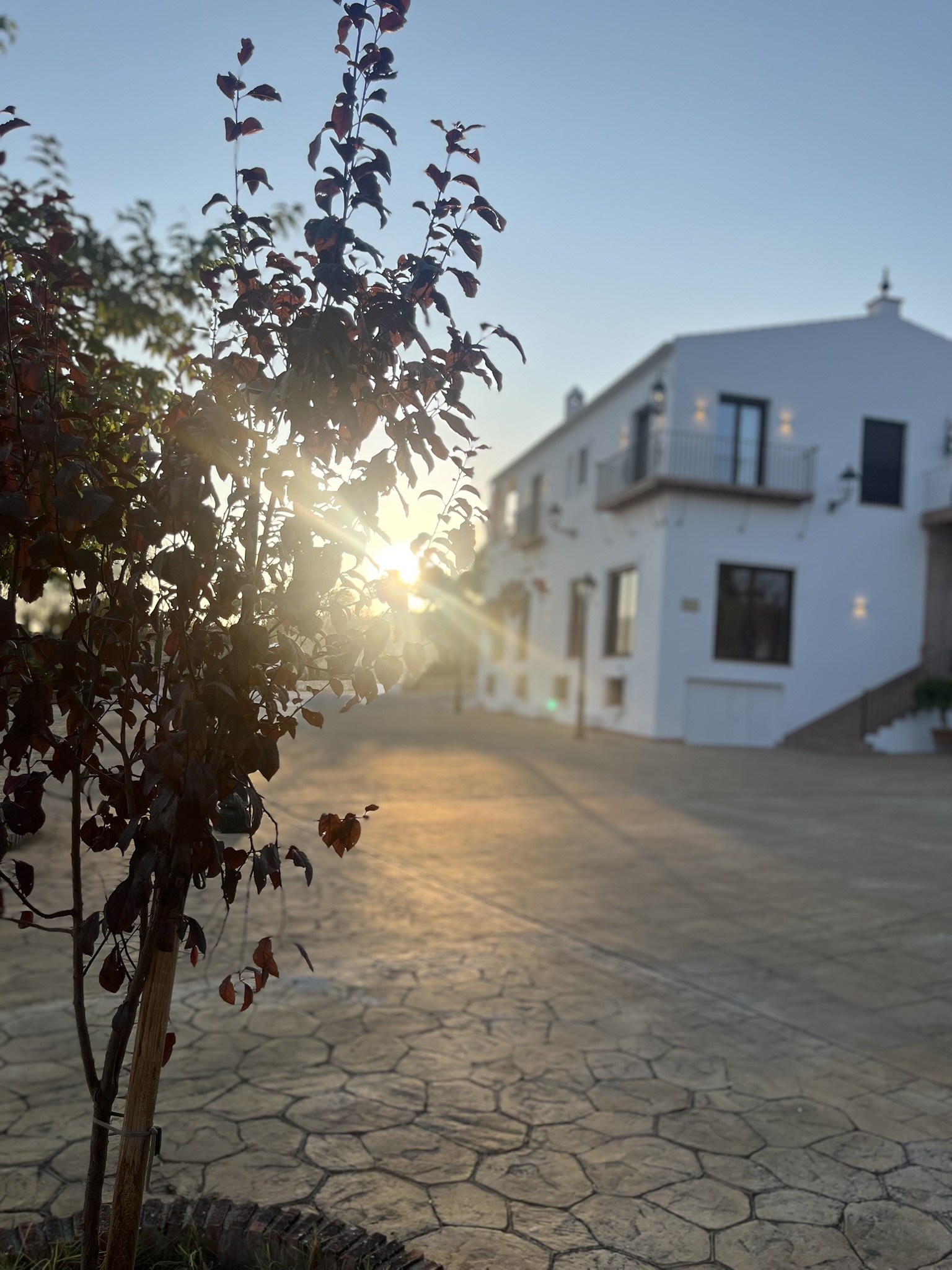 Coucher de soleil sur une hacienda andalouse – Là où le calme devient source d’inspiration Vue d’une hacienda andalouse au coucher du soleil, idéale pour un événement d’entreprise en pleine nature.