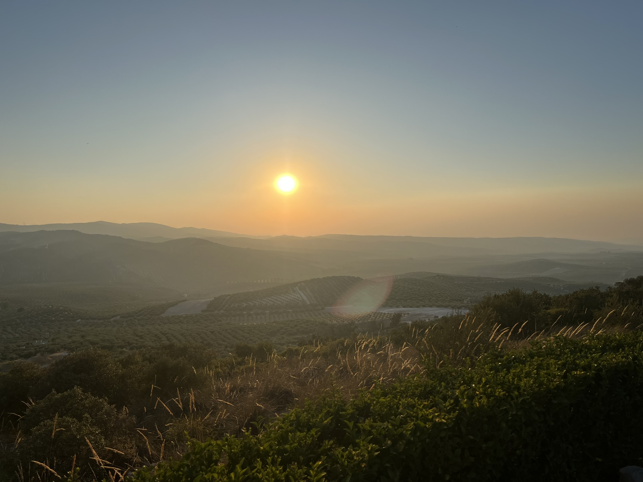 Coucher de soleil sur la campagne andalouse – Une lumière douce pour inspirer vos équipes Paysage de la campagne andalouse au coucher du soleil, parfait pour un séminaire de ressourcement en pleine nature.